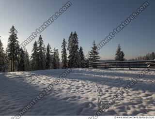 background forest winter 0005